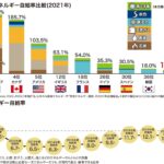 日本のエネルギー自給率2021年度
